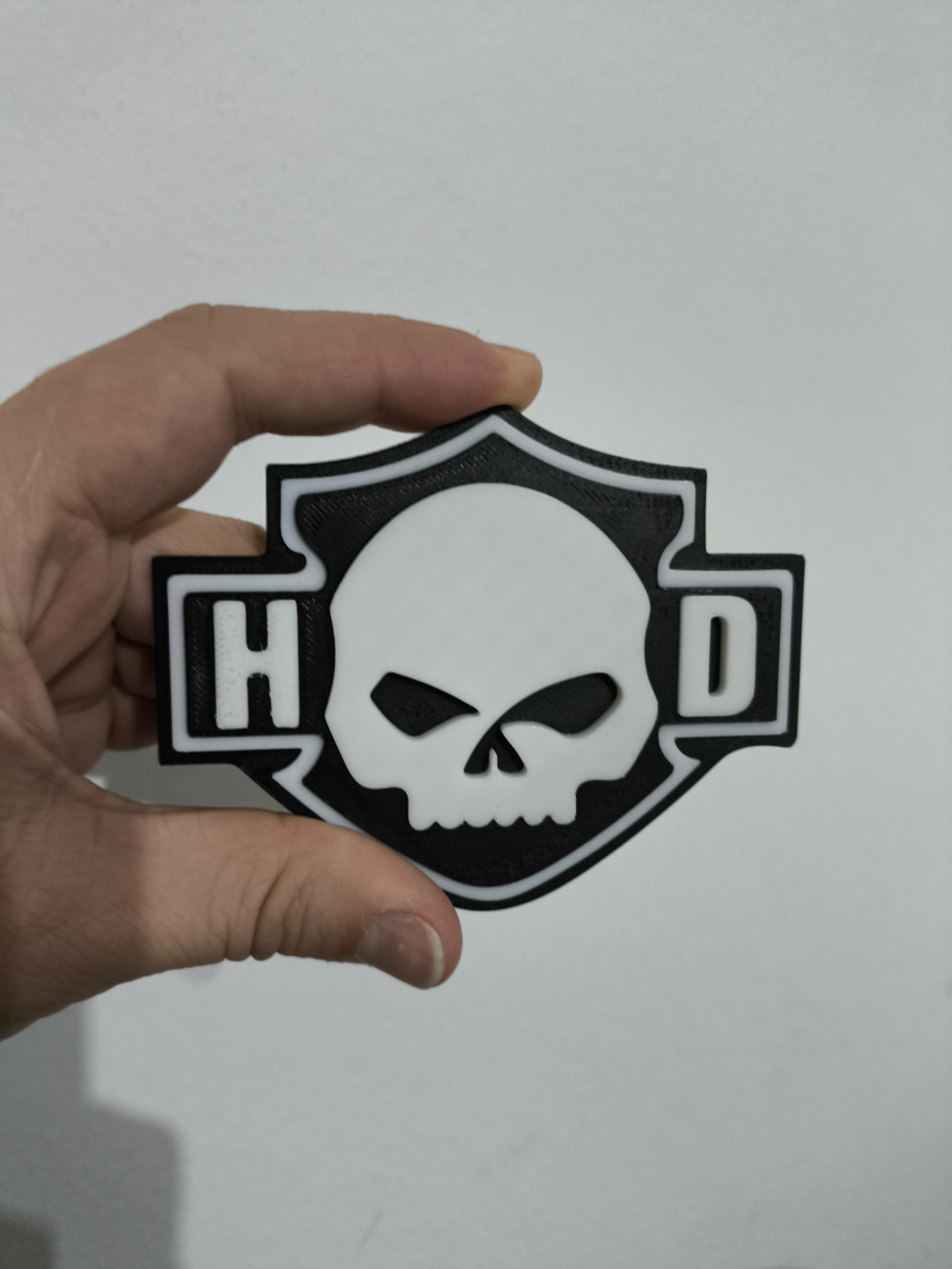 HD Logo Skull